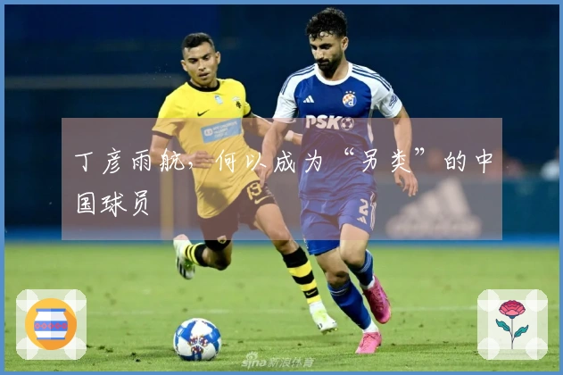 丁彦雨航，何以成为“另类”的中国球员