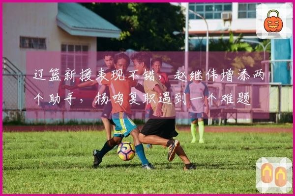 辽篮新援表现不错，赵继伟增添两个助手，杨鸣复职遇到一个难题