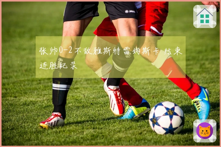 张帅0-2不敌雅斯特雷姆斯卡 结束连胜纪录