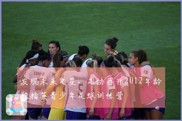 发现未来之星，足协召开2012年龄段精英青少年足球训练营