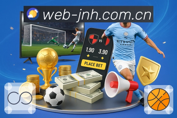 站内搜索认证展示